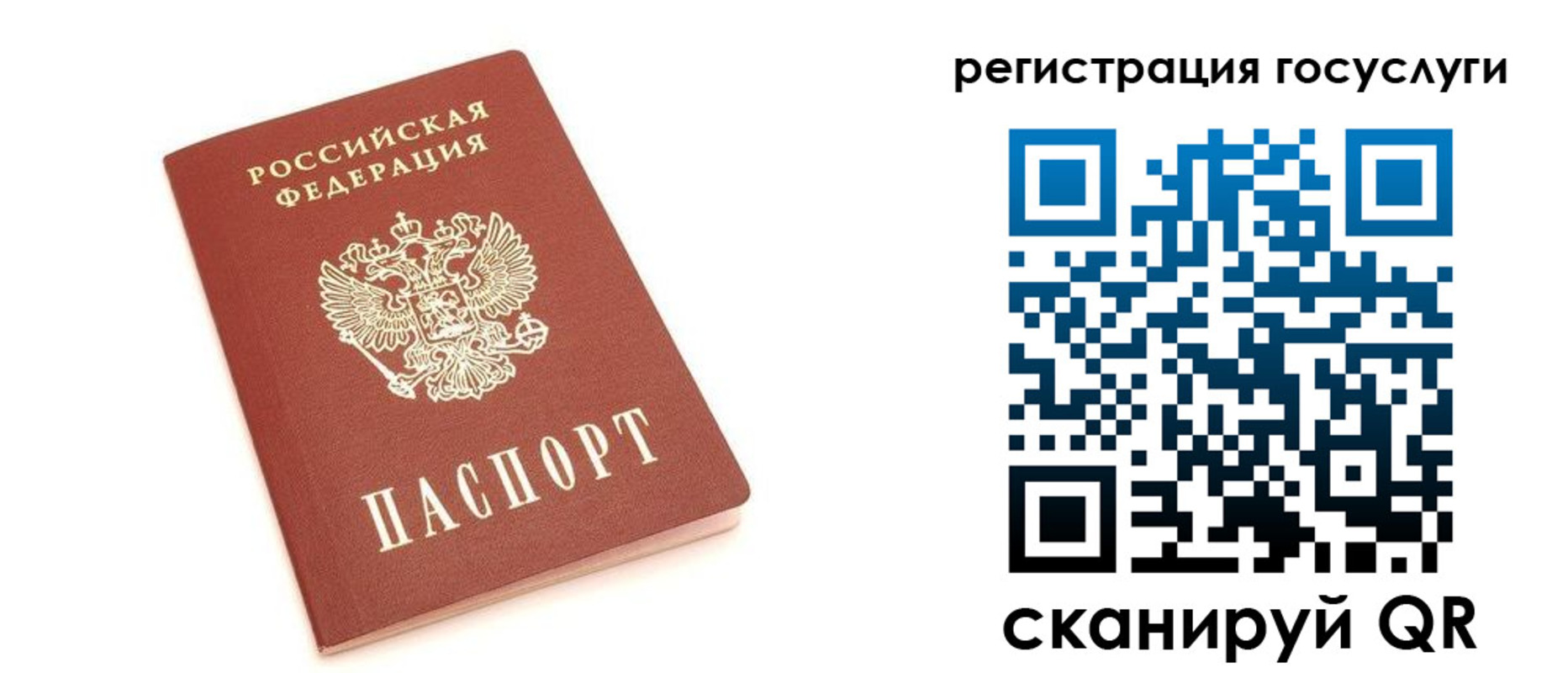 прописка 2025 в Жукове